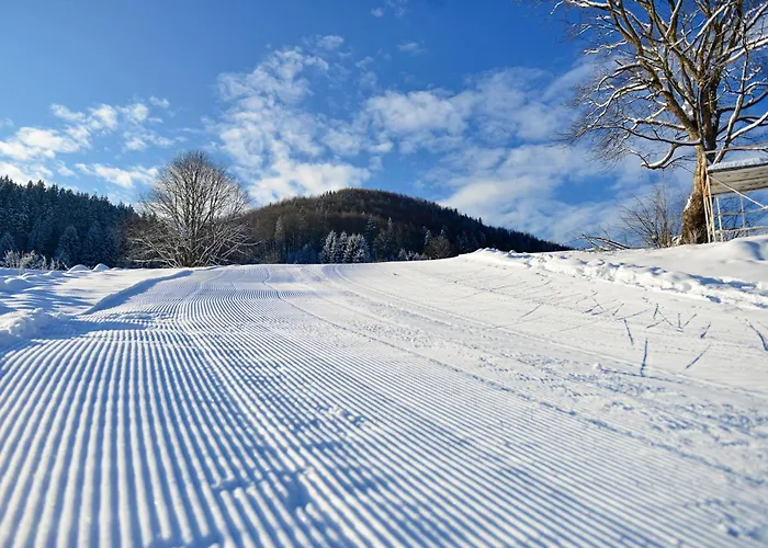 Hotel Osrblie Hotel Osrblie